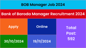 BOB Manager Job 2024